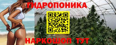 герыч Можга