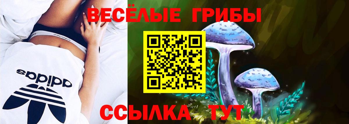 Псилоцибиновые грибы Psilocybine cubensis Верхний Уфалей